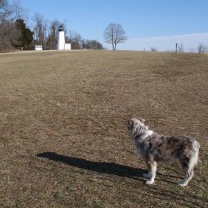 Meet your Posher, Nina